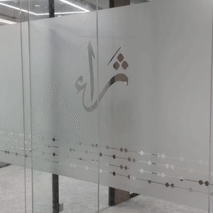 500x500 0071 img 20250625 wa0060