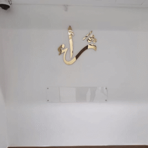 500x500 0074 img 20250625 wa0057