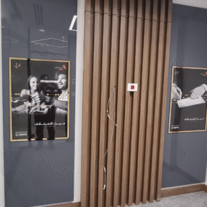 500x500 0075 img 20250625 wa0056